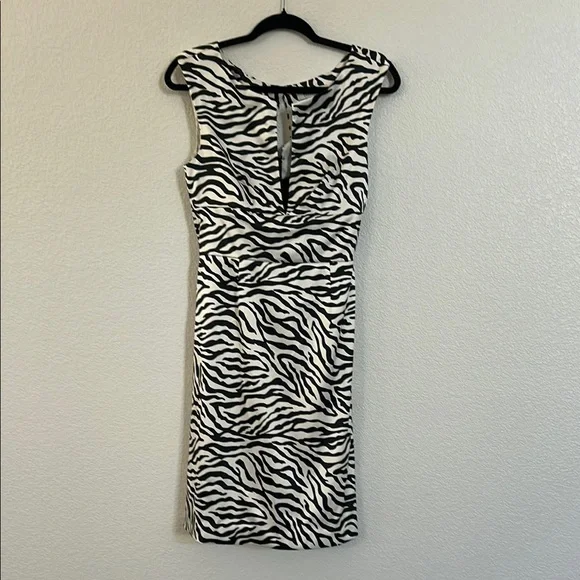 Zebra Print Sleeveless Dress - Picture 2 of 7